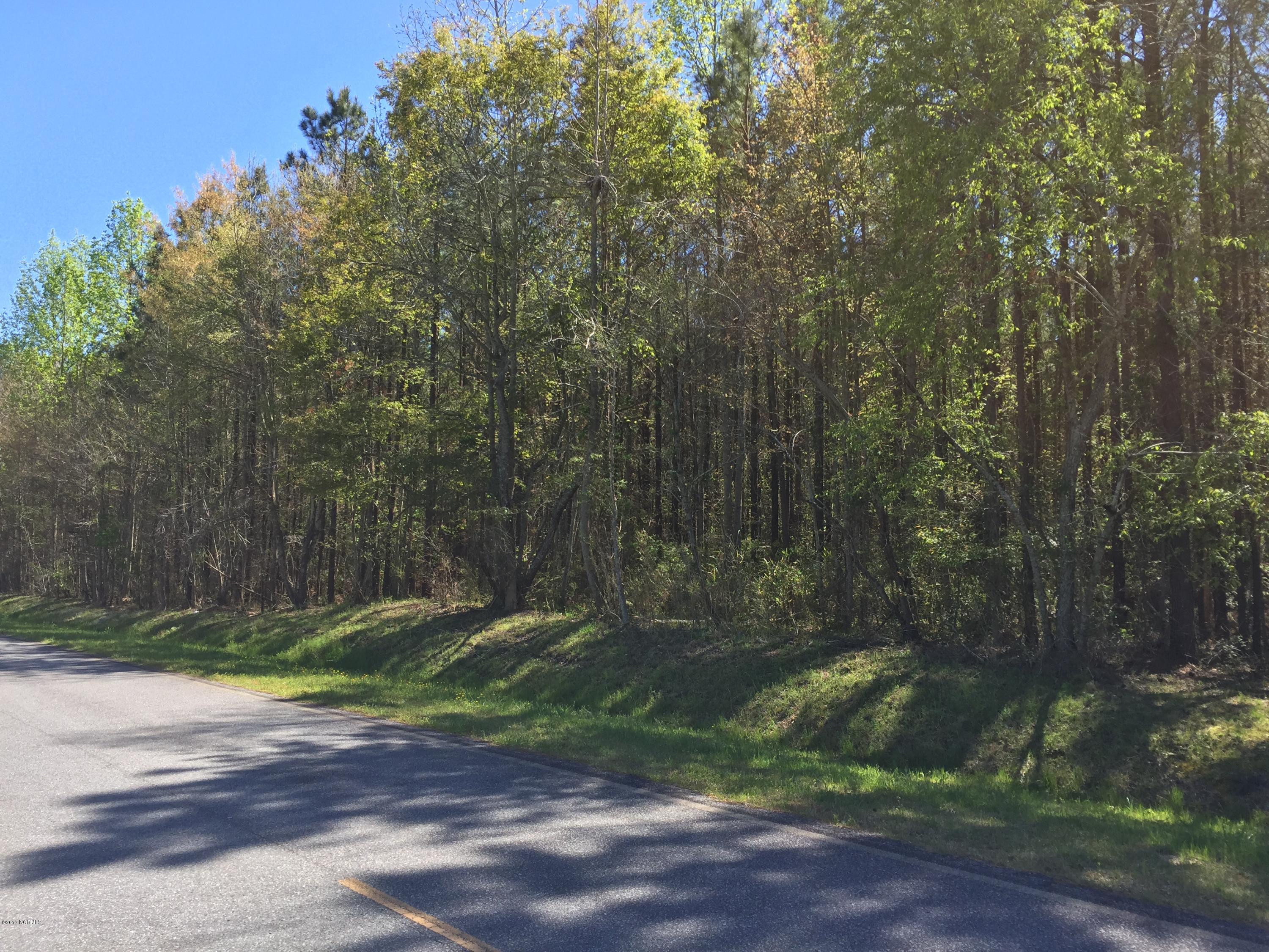 Lot 34 Pinecrest Road Bath, NC 27808 - Photo 1 of 3 Lot 34