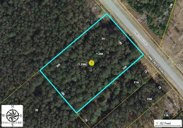 Lot 34 Pinecrest Road Bath, NC 27808 - Photo 3 of 3 Aerial View