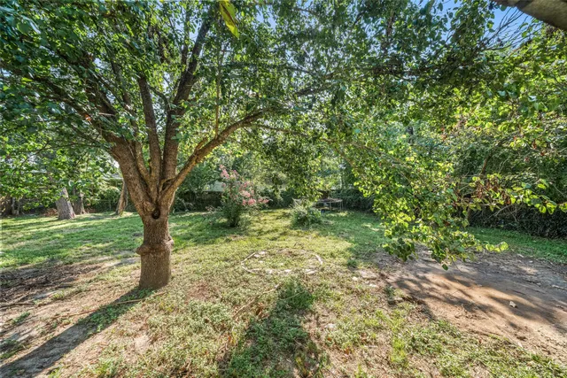 a big yard with lots of green space and house in the back