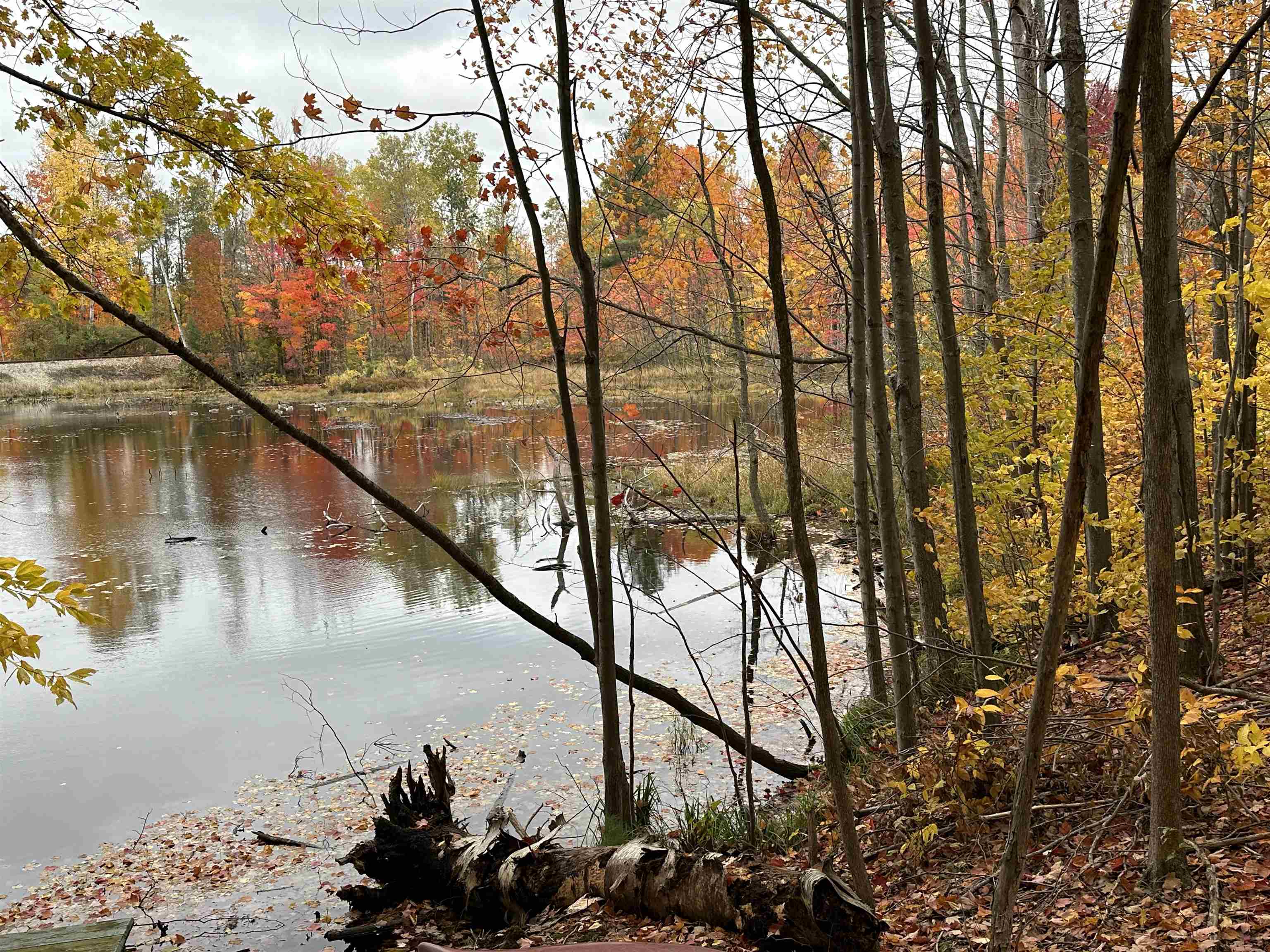 7610 Inman Road Southwest Fife Lake, MI 49633 - Photo 78 of 79