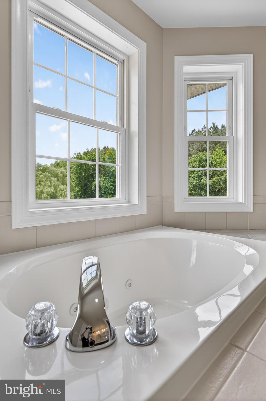 337 Roe Ingleside Road Centreville, MD 21617 - Photo 42 of 56 a bath tub sitting next to a window