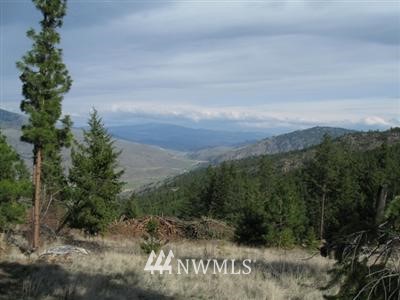 -tbd5 Gold Hill Road Tonasket, WA 98855 - Photo 1 of 1 Gallery Image 1