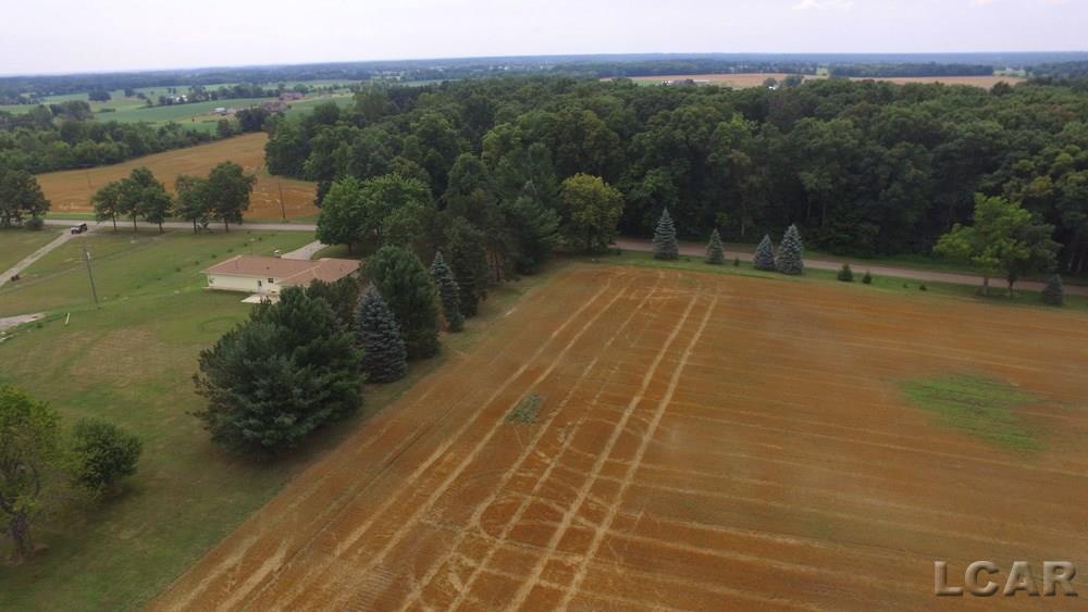4292 Kehoe Road Clinton, MI 49236 - Photo 3 of 44 SOME OF FIELD INCLUDED