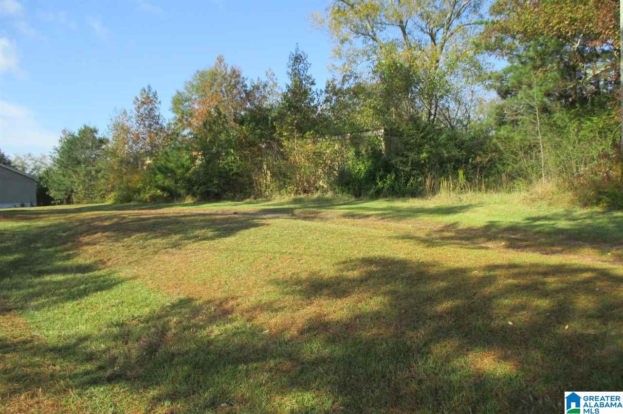 1161 Mardis Mill Road Blountsville, AL 35031 - Photo 29 of 33