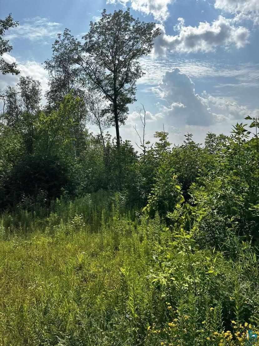 0 Will Road Mellen, WI 54546 - Photo 2 of 8