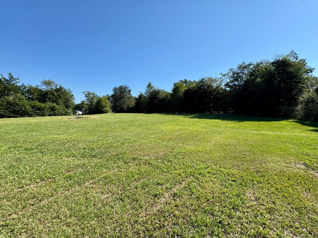 4157 Judge Logue Road Newton, AL 36352 - Photo 23 of 24