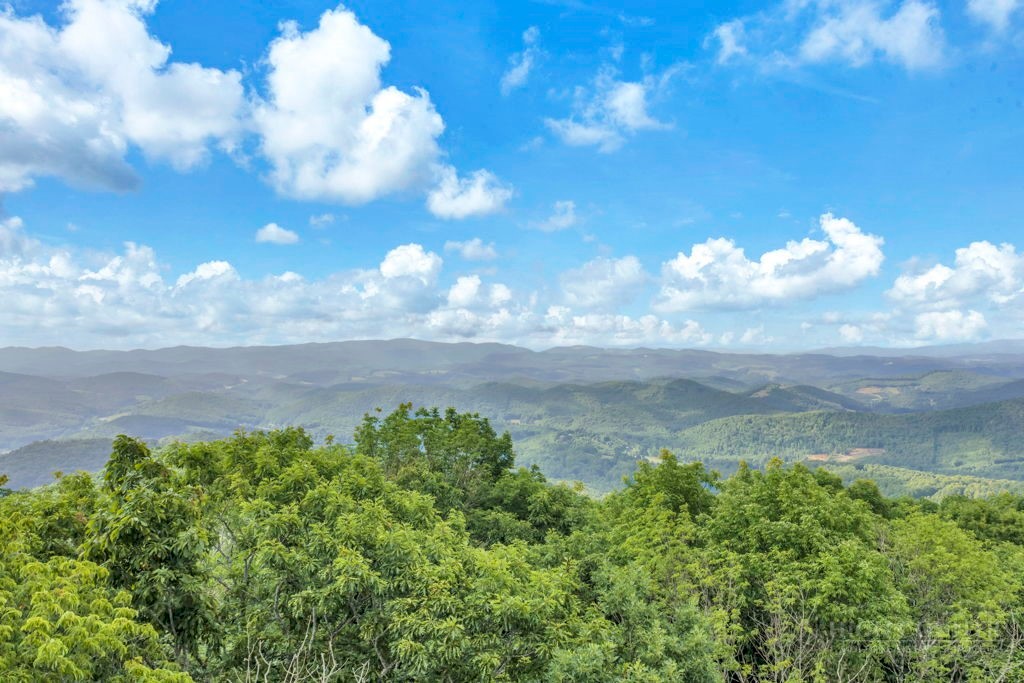 Lot 17 Crown Point Road West Jefferson, NC 28694 - Photo 5 of 21