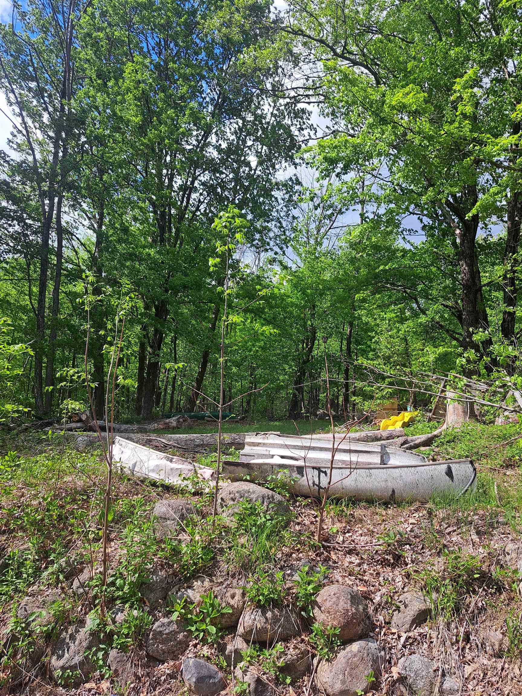 81 Hart Farm Road Deering, NH 03244 - Photo 5 of 17