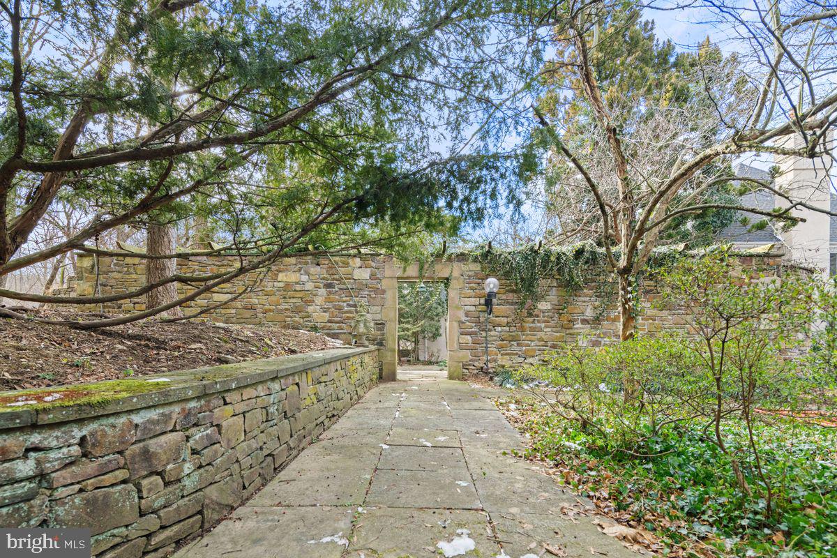 145 East Bells Mill Road Philadelphia, PA 19118 - Photo 34 of 38 a view of a pathway with a yard