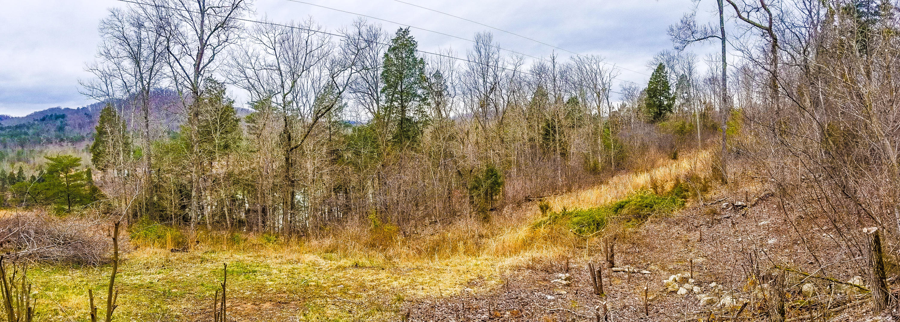 0 Pl Colyer Road Somerset, KY 42501 - Photo 7 of 7 PSX_20190315_045211