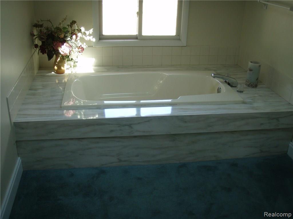 3364 Samaria Road Temperance, MI 48182 - Photo 29 of 48 Soaking Tub