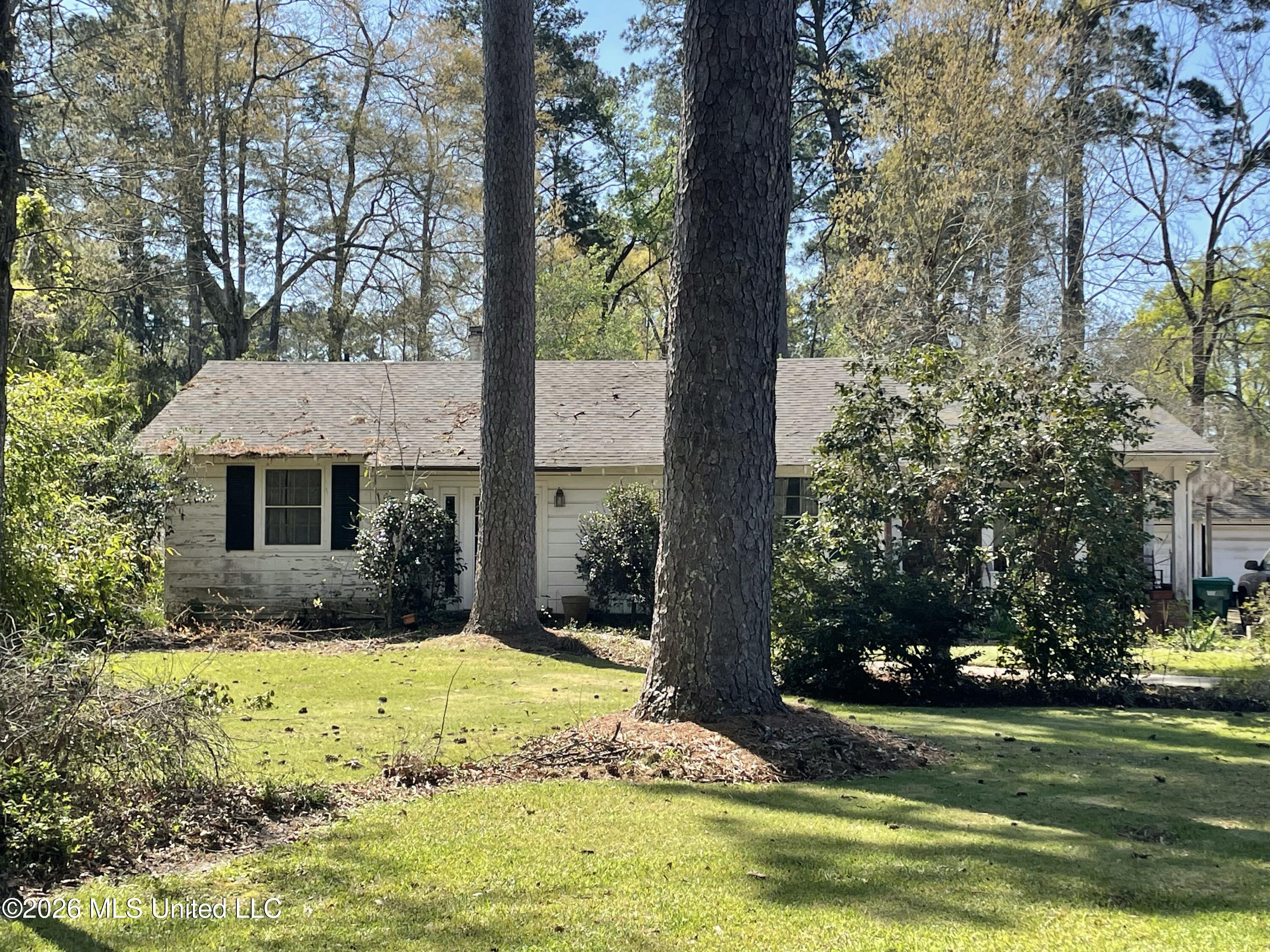 425 Natchez Avenue Brookhaven, MS 39601 - Photo 1 of 33 IMG_3542 - Copy