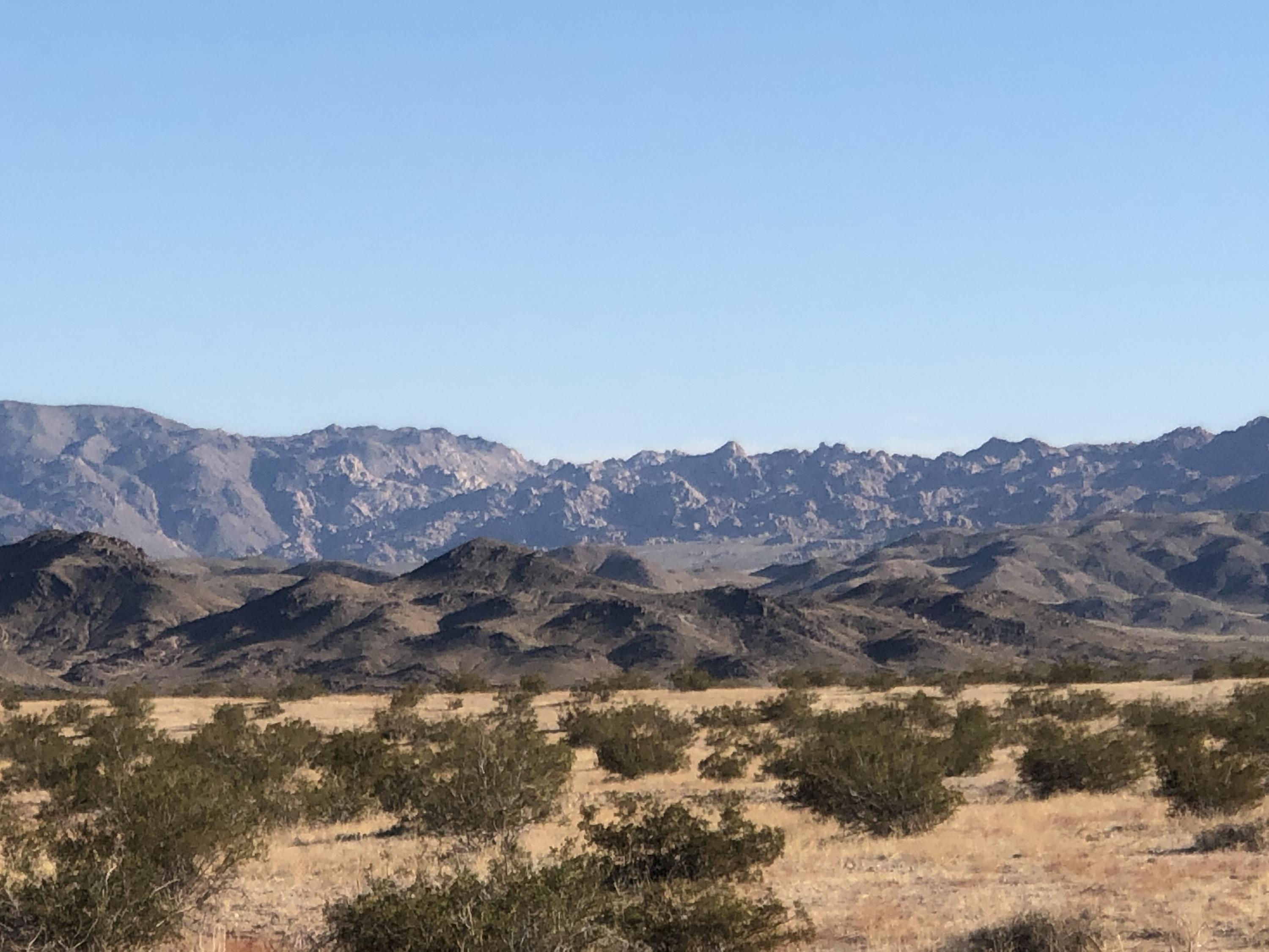 65995 Sonora Road Joshua Tree, CA 92252 - Photo 9 of 18