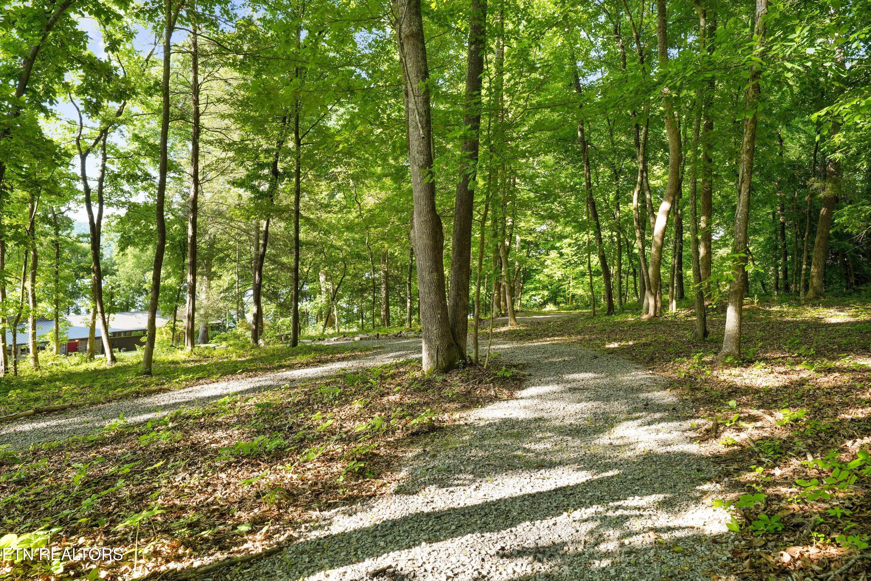 143 Old James Ferry Road Kingston, TN 37763 - Photo 51 of 60 Walking Trails