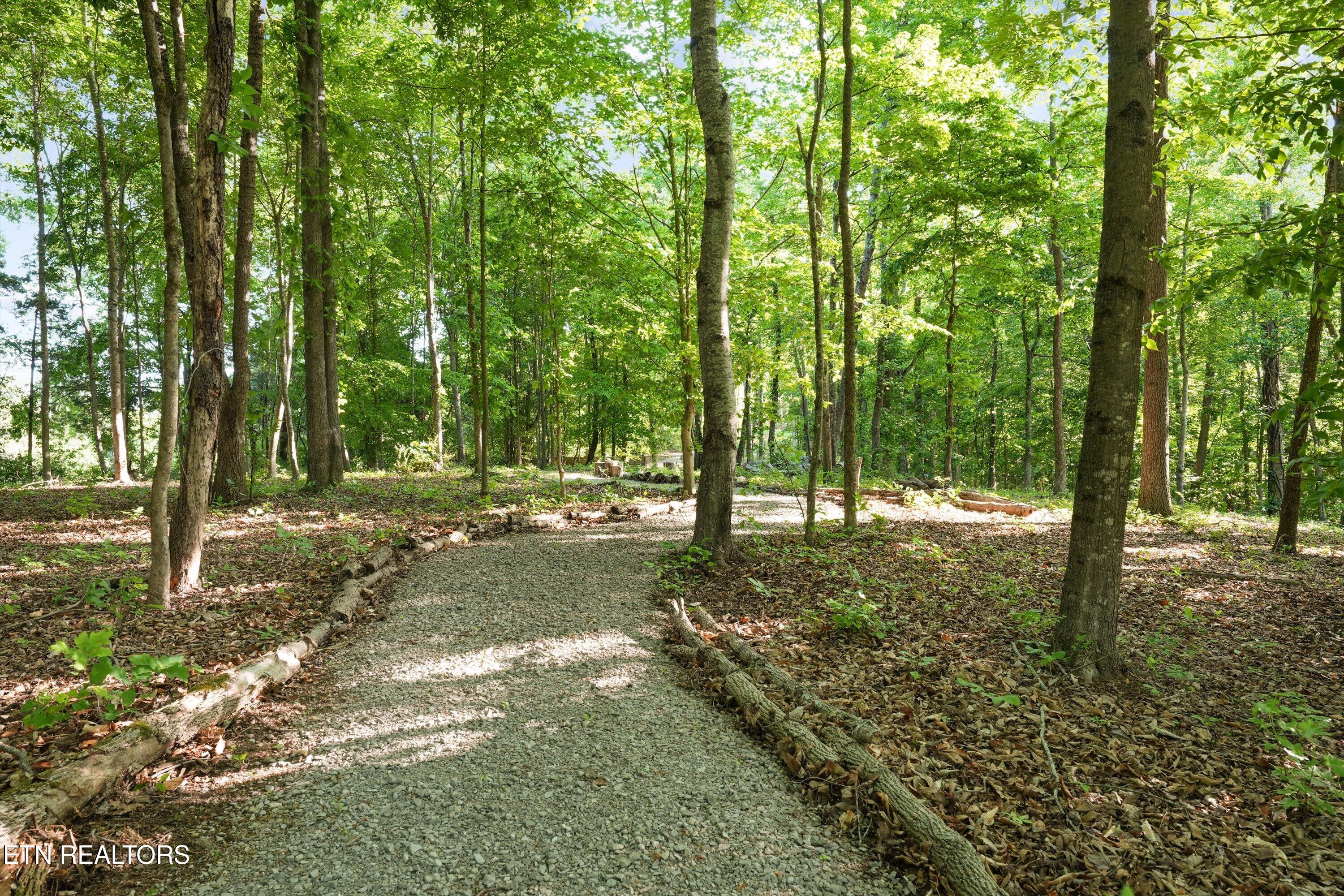 143 Old James Ferry Road Kingston, TN 37763 - Photo 9 of 60 Walking Trails