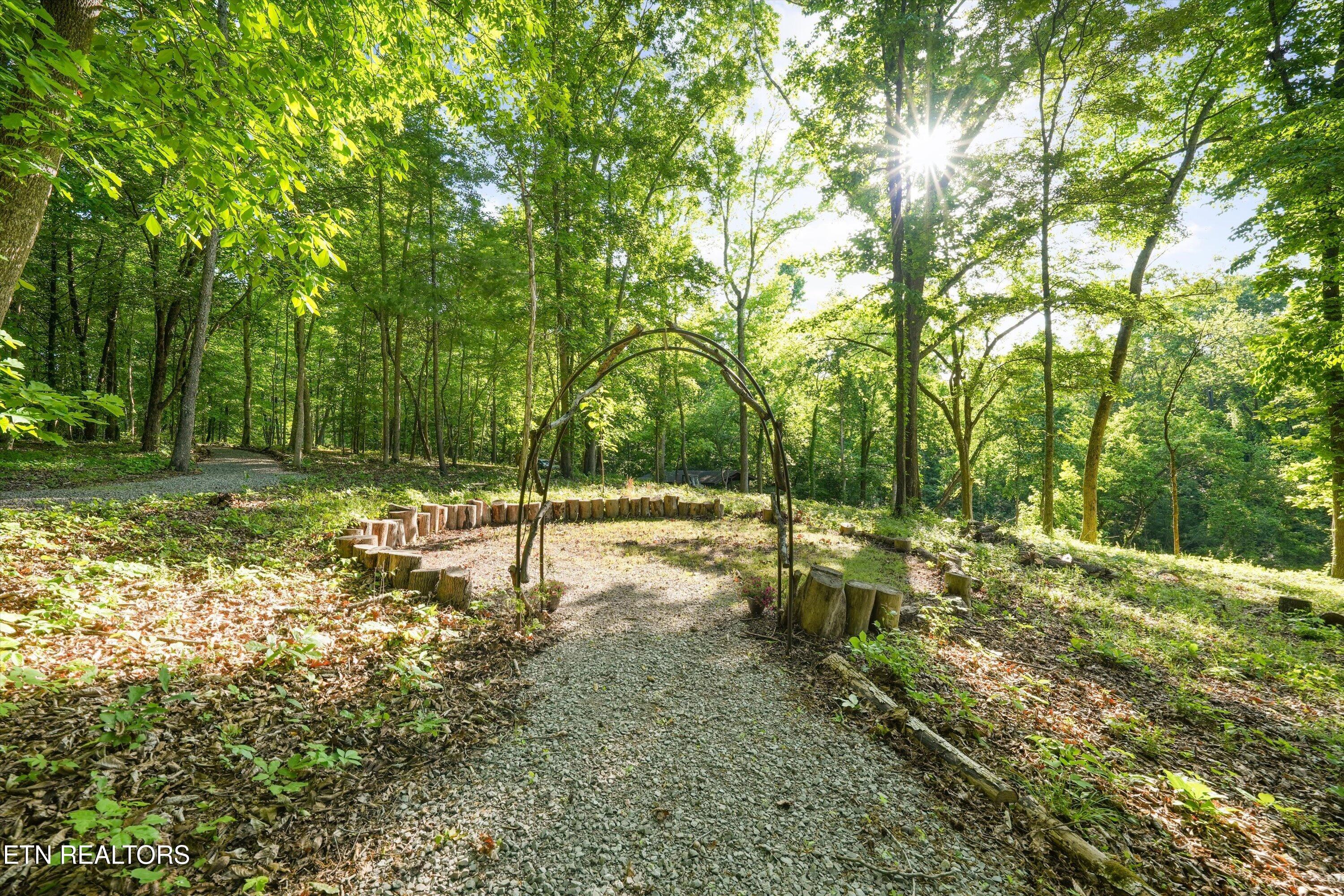 143 Old James Ferry Road Kingston, TN 37763 - Photo 10 of 60 Walking Trails and Sitting Area