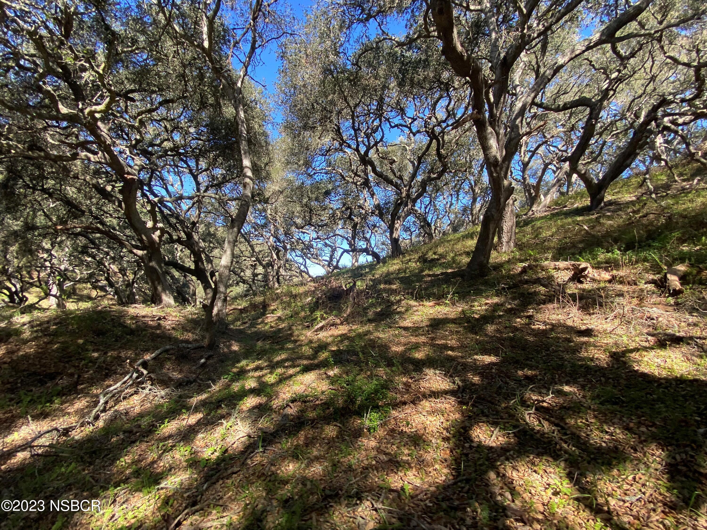5930 Santa Rosa Road Lompoc, CA 93436 - Photo 12 of 82 Chanterelle Territory