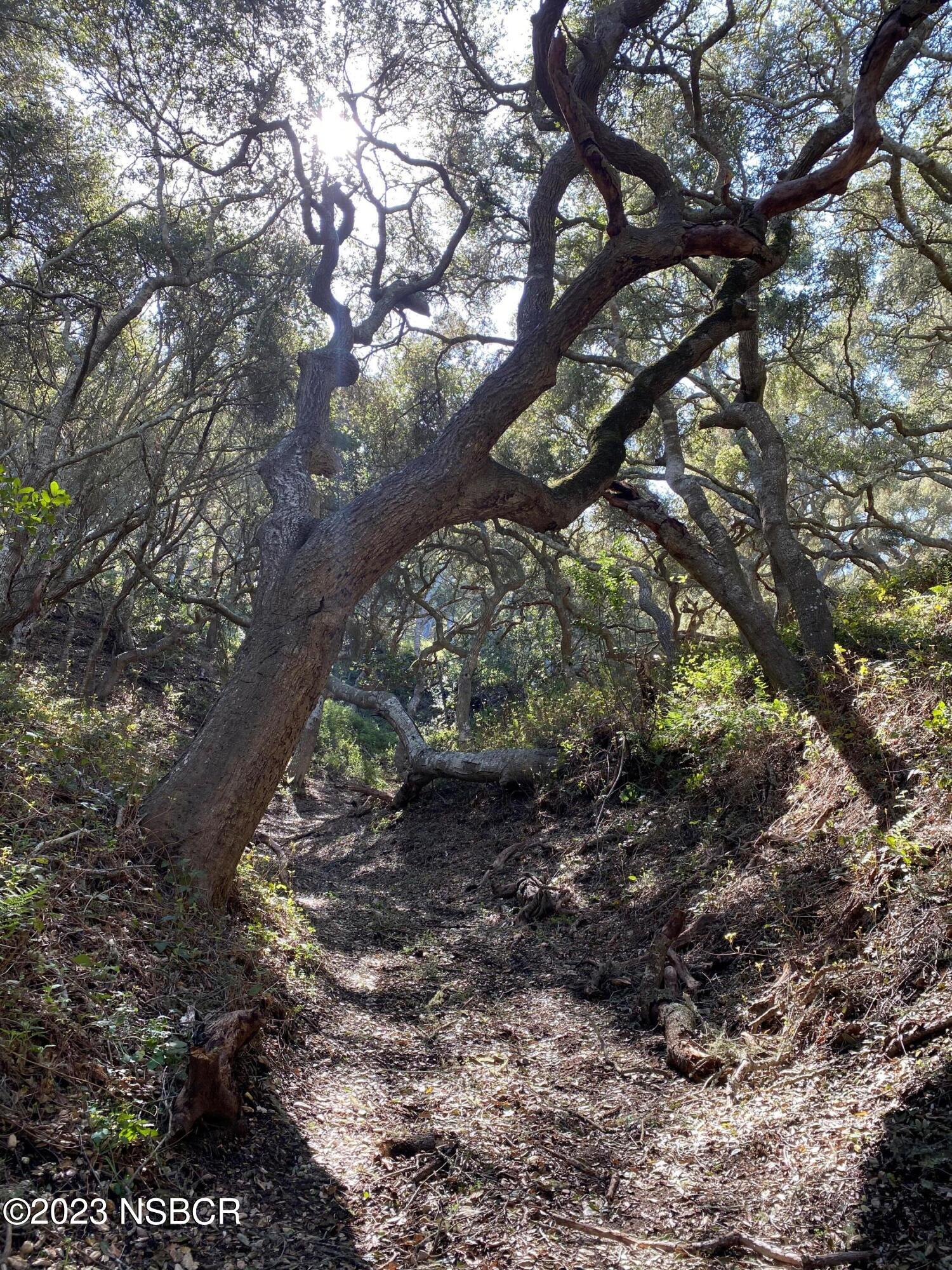 5930 Santa Rosa Road Lompoc, CA 93436 - Photo 23 of 82 Interior Trails