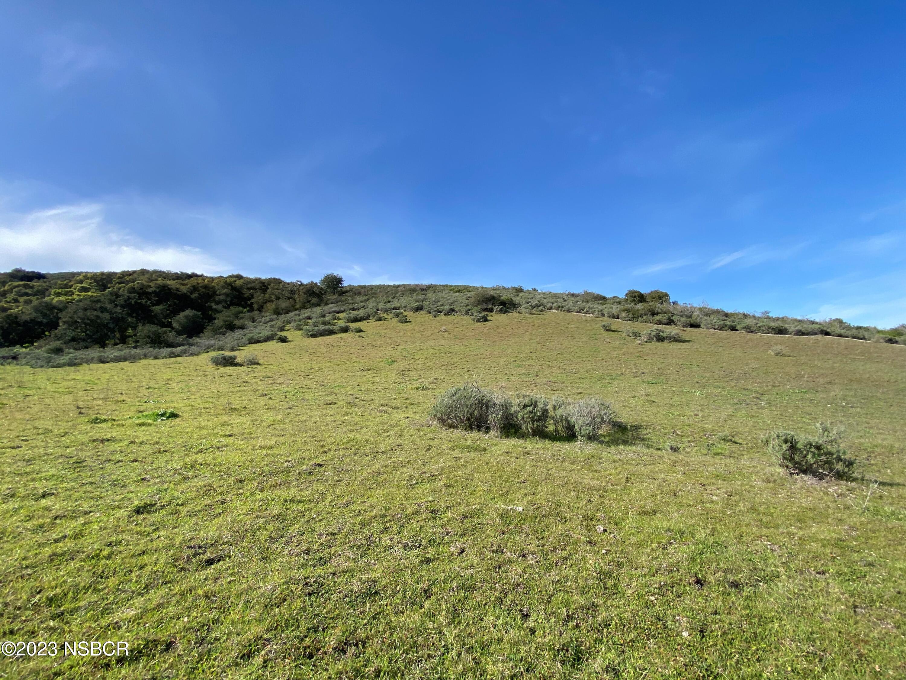 5930 Santa Rosa Road Lompoc, CA 93436 - Photo 39 of 82 Potential Vineyard