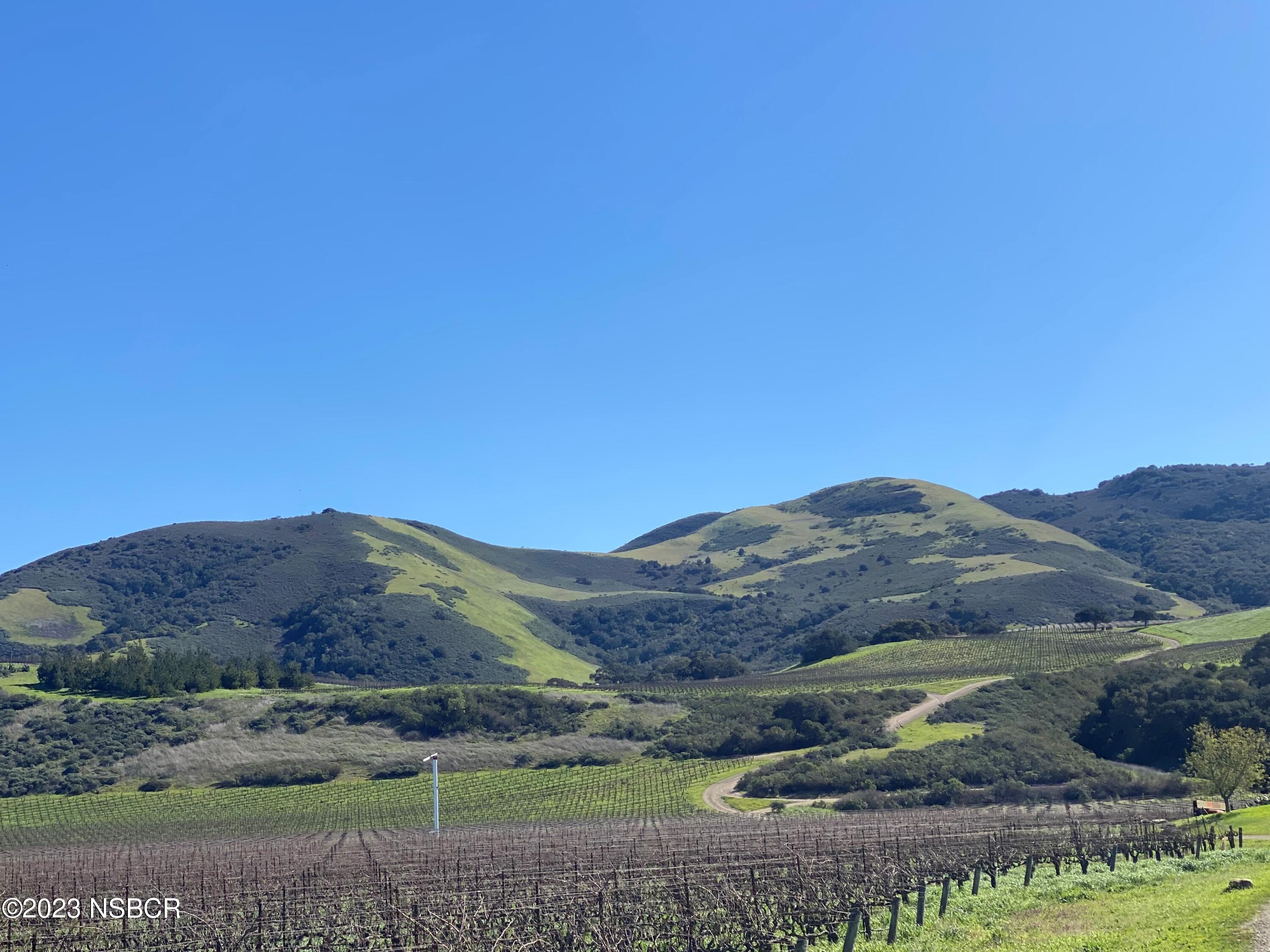5930 Santa Rosa Road Lompoc, CA 93436 - Photo 55 of 82 View of Property from Sanford Vineyard