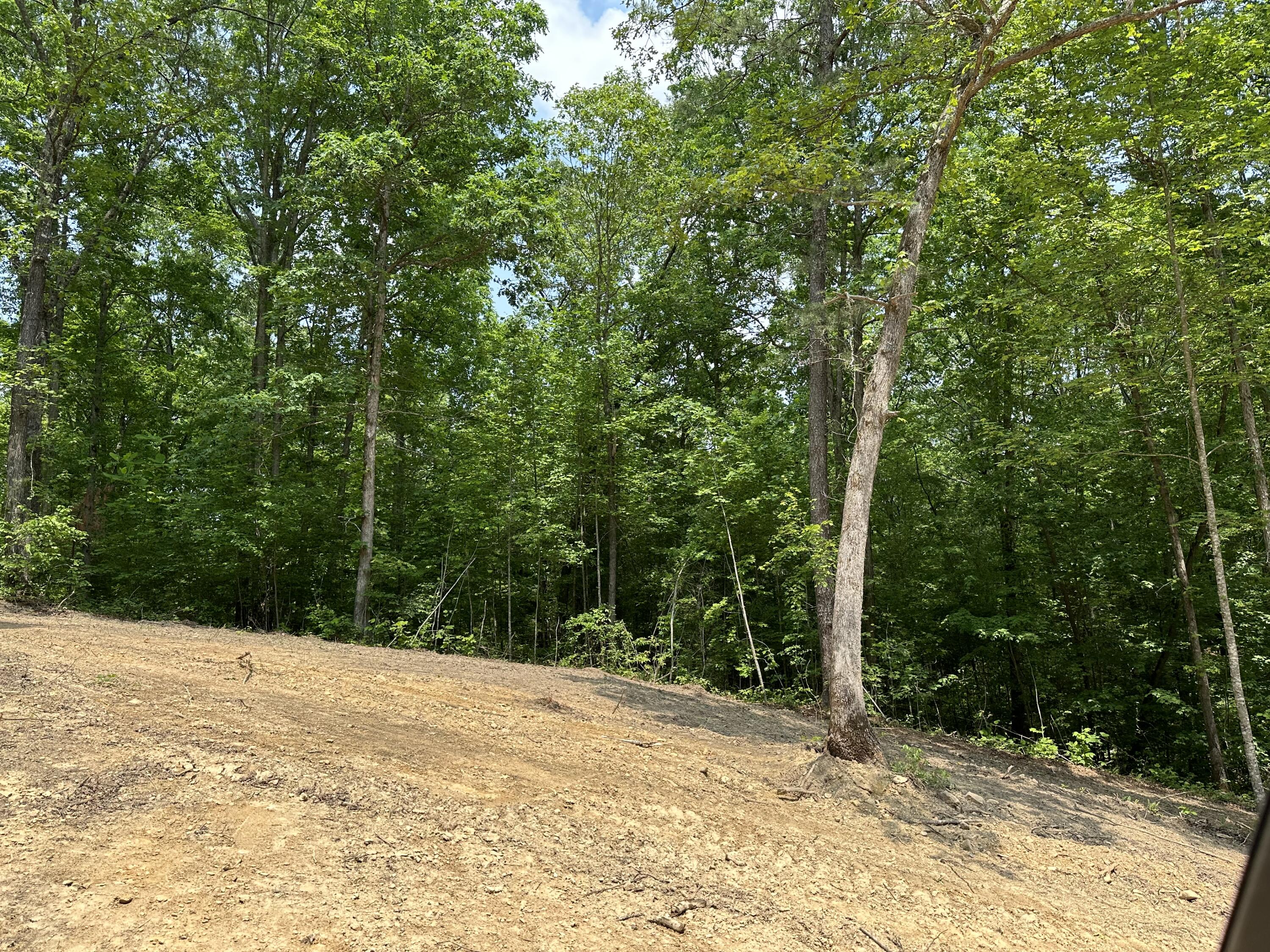 3 Big Sky Road Corbin, KY 40701 - Photo 6 of 8 IMG_5813