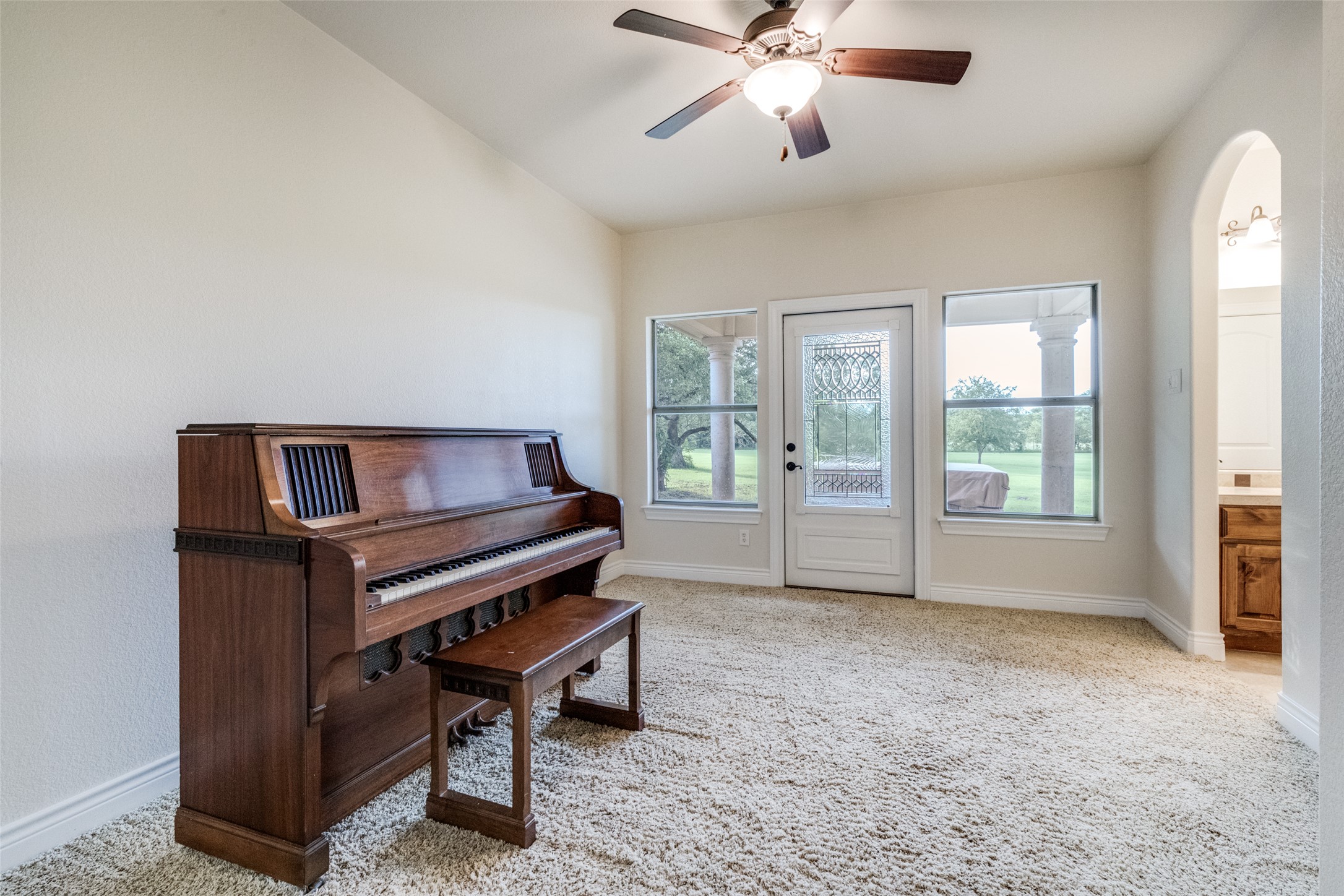 101 Copper Leaf Court Georgetown, TX 78633 - Photo 19 of 31 Carpeted room with vaulted ceilings and a ceiling fan with light fixture