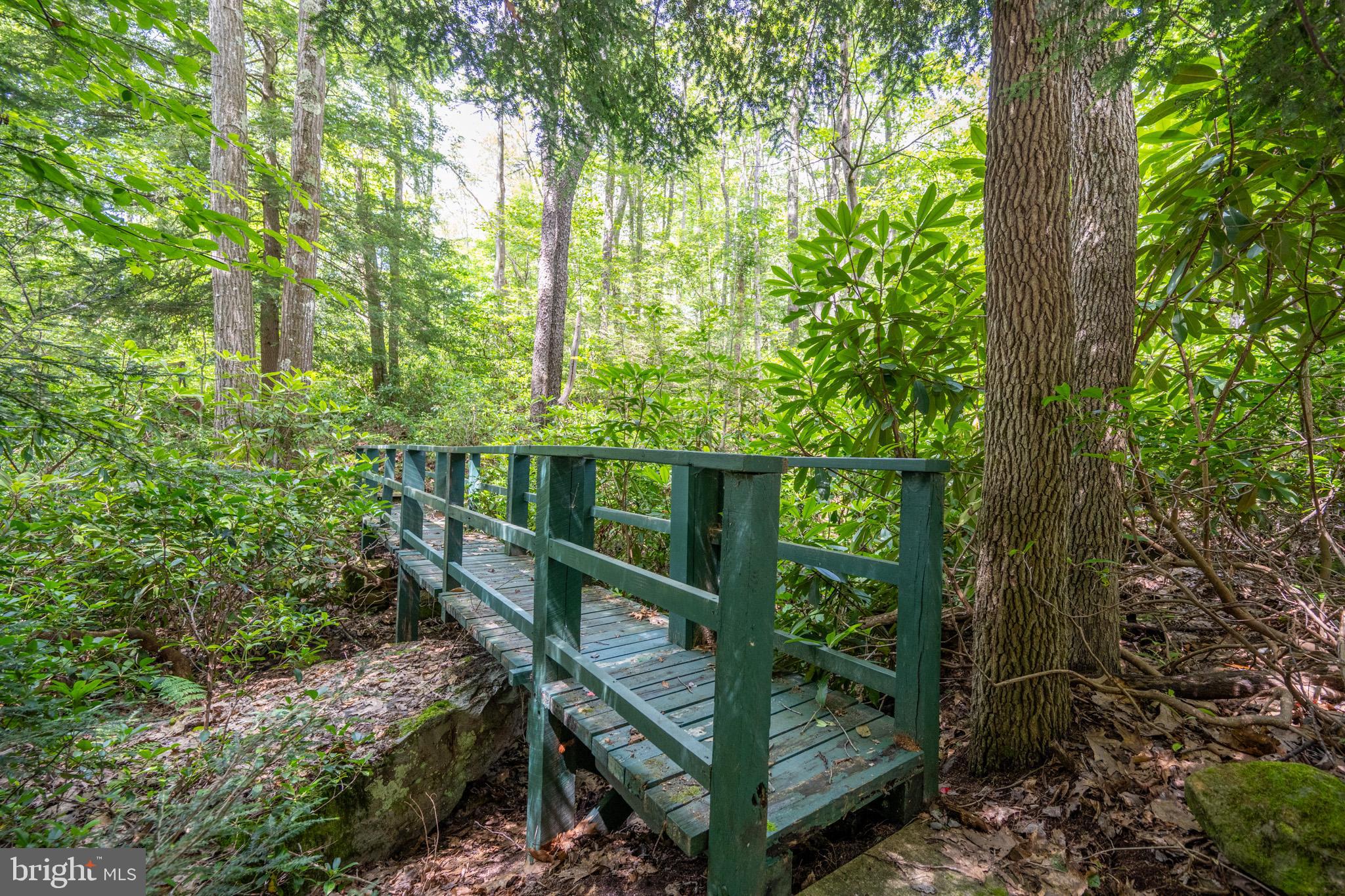 555 Fox Tail Road Oakland, MD 21550 - Photo 11 of 68 Gallery Image 11