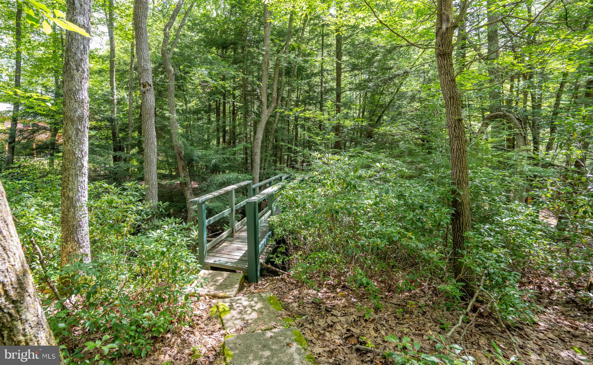 555 Fox Tail Road Oakland, MD 21550 - Photo 14 of 68 Gallery Image 14