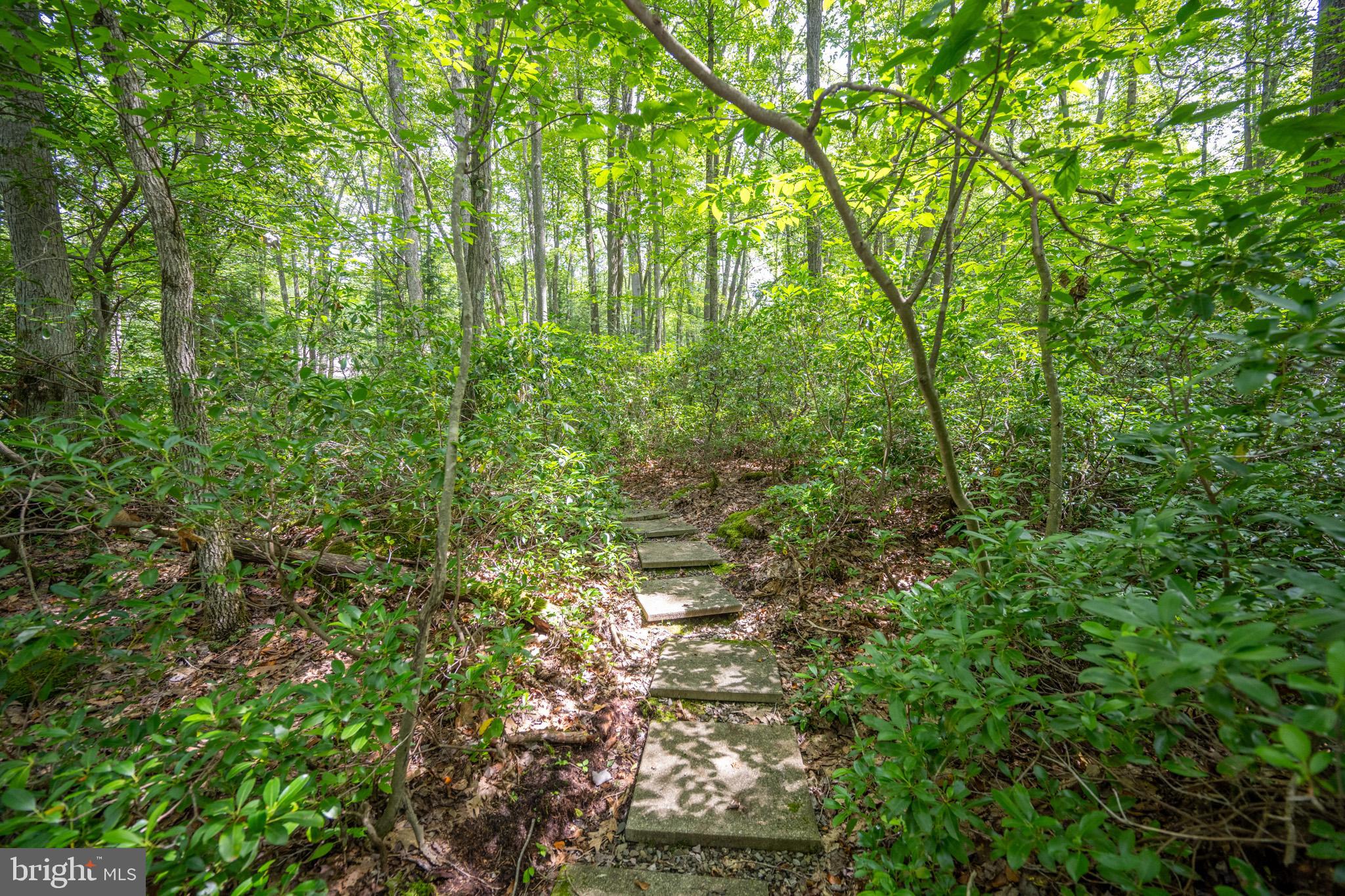 555 Fox Tail Road Oakland, MD 21550 - Photo 18 of 68 Gallery Image 18