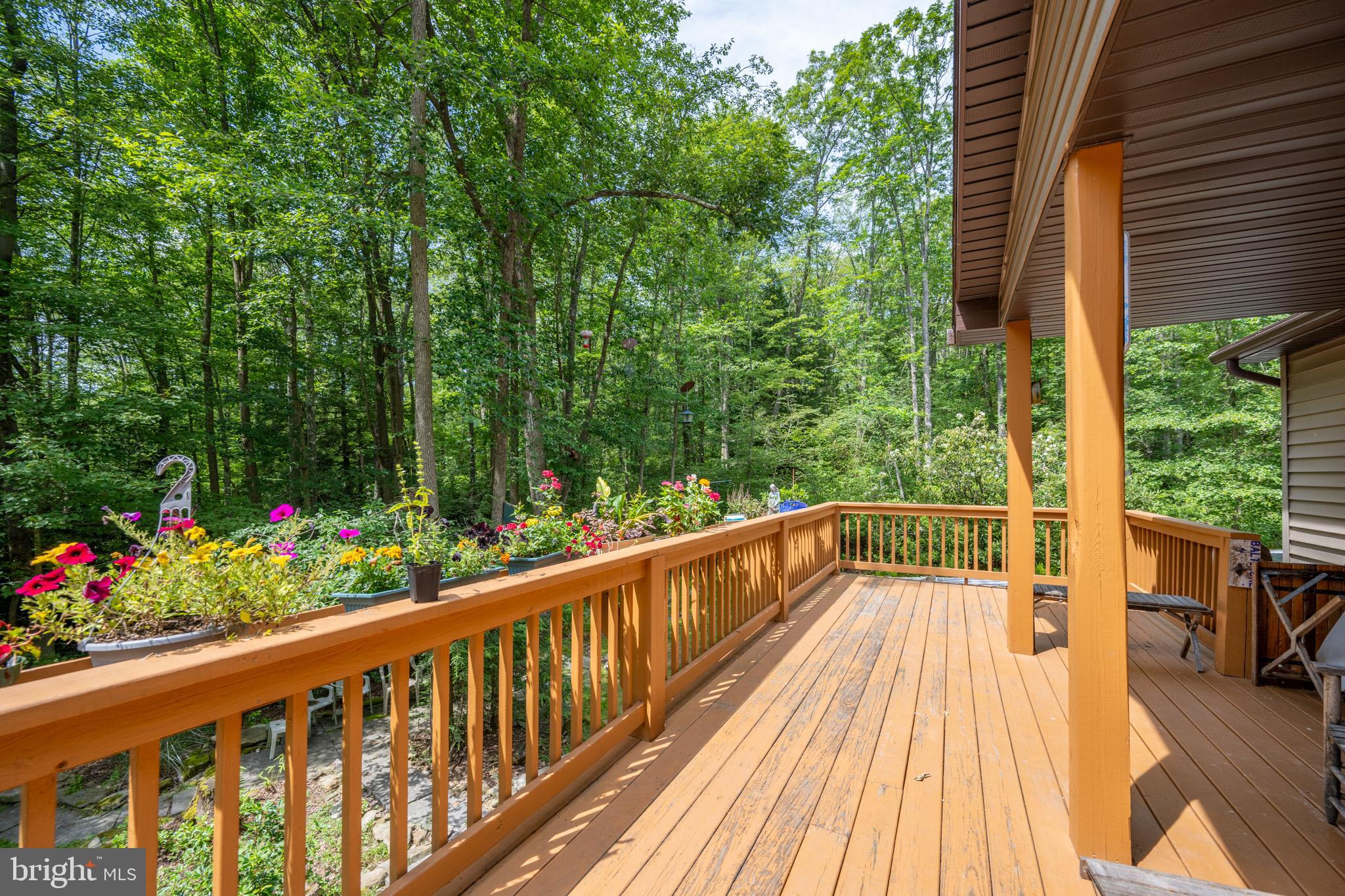 555 Fox Tail Road Oakland, MD 21550 - Photo 24 of 68 Gallery Image 24