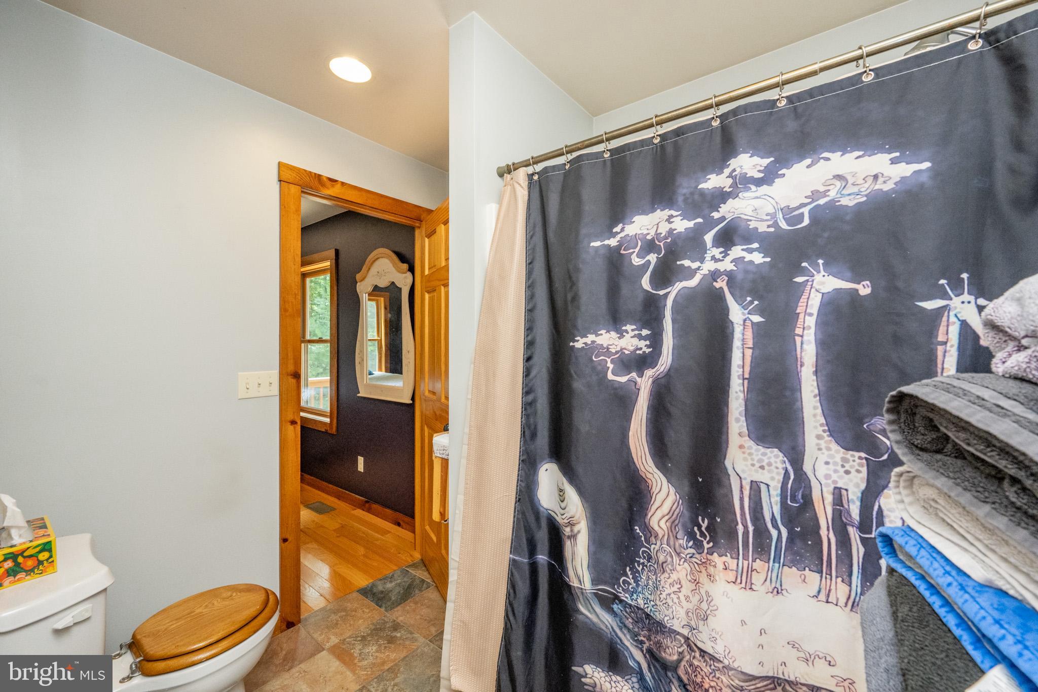 555 Fox Tail Road Oakland, MD 21550 - Photo 45 of 68 Gallery Image 45