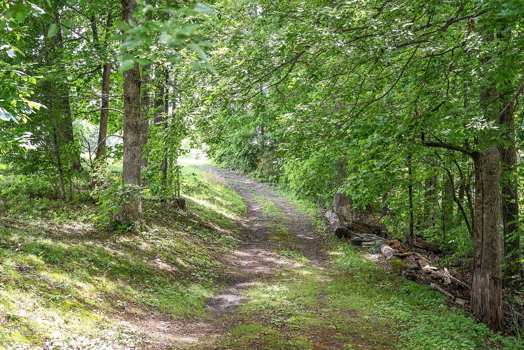 454 Mowery Road Charleston, TN 37310 - Photo 40 of 54 DSC_9043