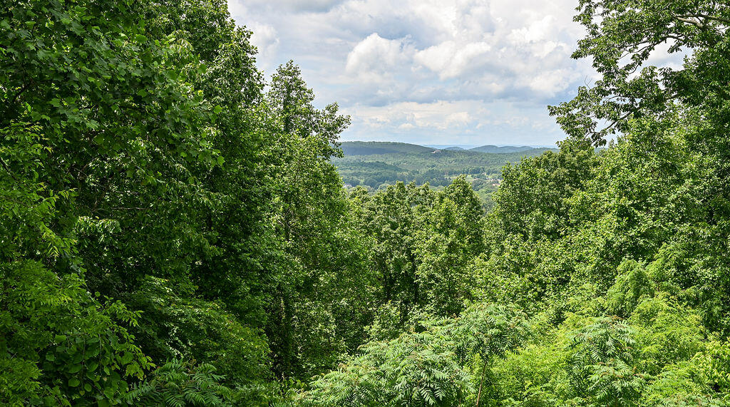 454 Mowery Road Charleston, TN 37310 - Photo 41 of 54 DSC_8958