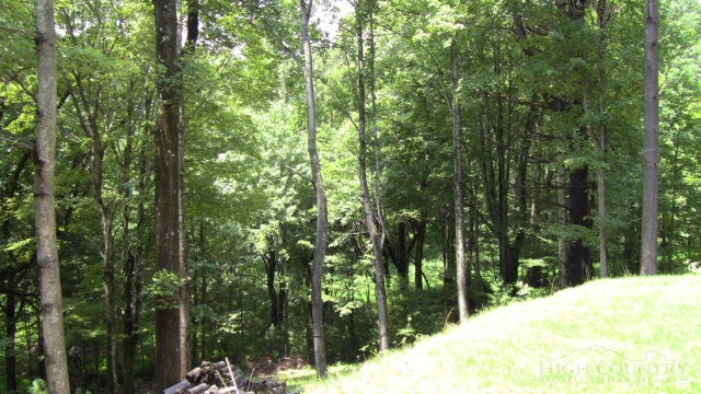 1174 Orchard Road Deep Gap, NC 28618 - Photo 6 of 7 a view of a backyard of a house