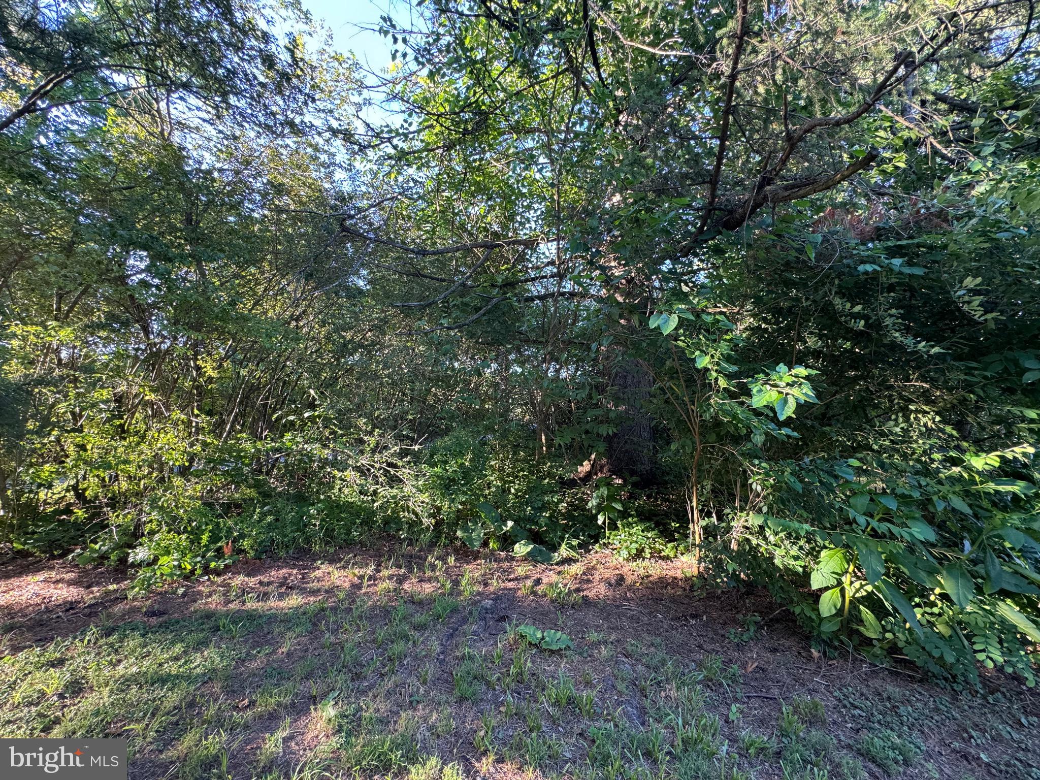 4667 Harper Hill Road Petersburg, PA 16669 - Photo 12 of 96