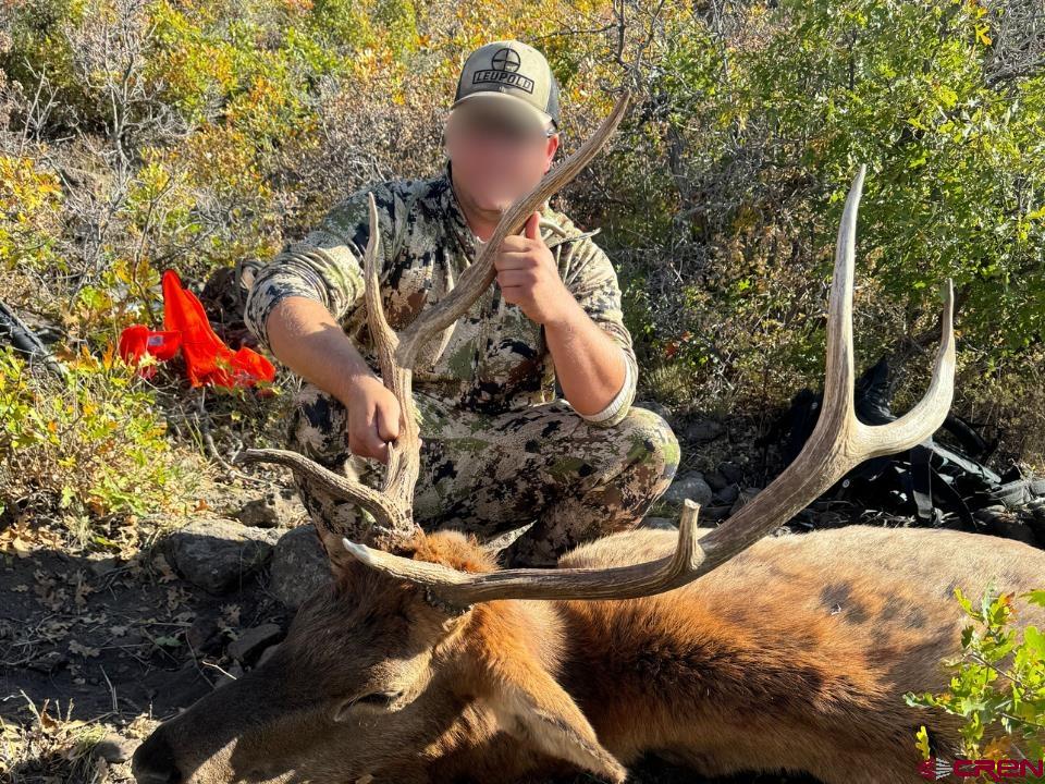 0 Currant Crk Road Cedaredge, CO 81413 - Photo 11 of 35 a view of a sink and fire pit