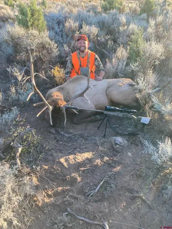 a close view of sink in the background