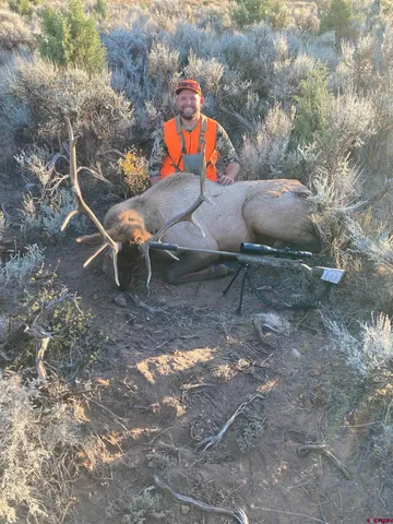 a close view of sink in the background