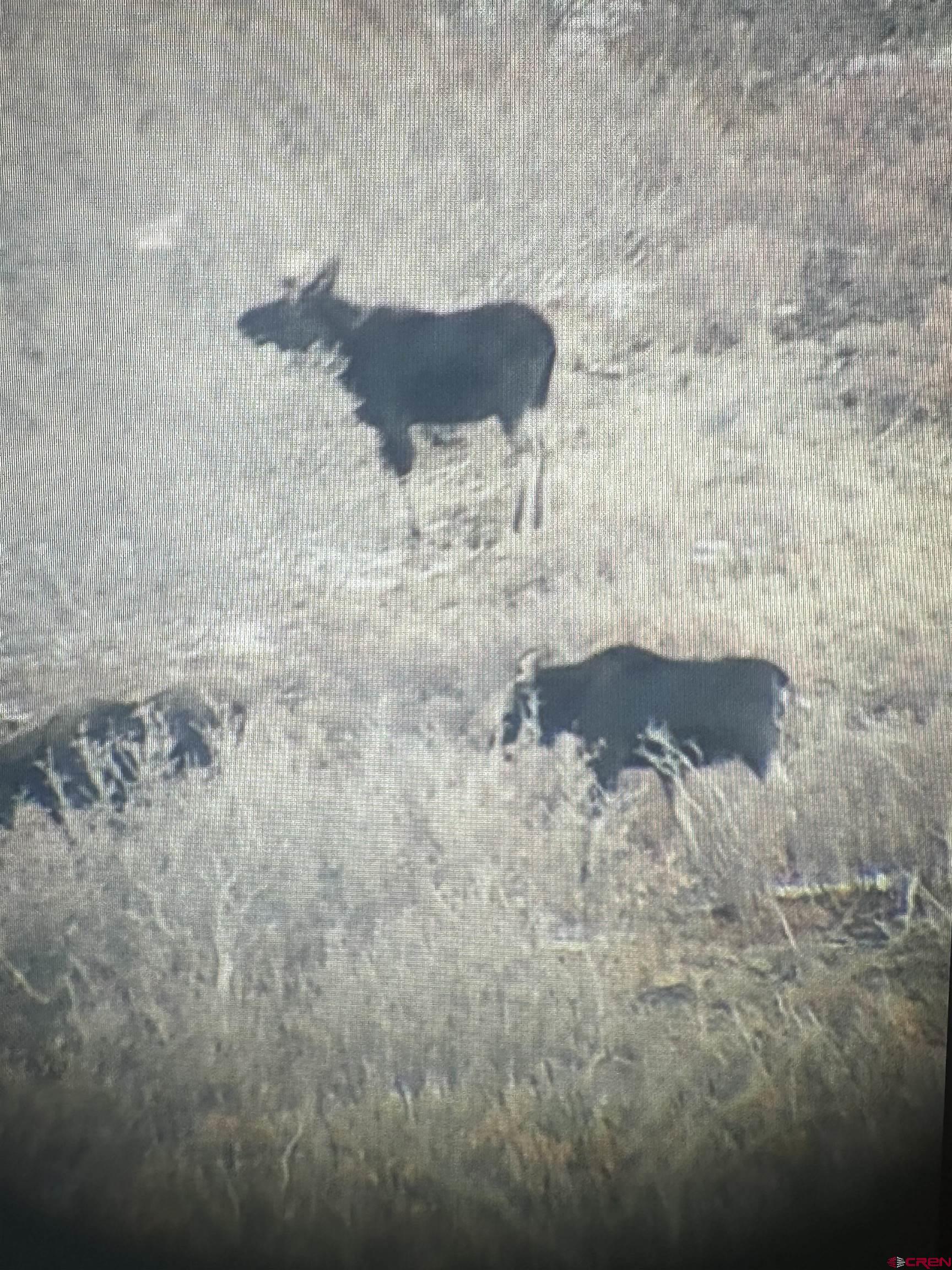 0 Currant Crk Road Cedaredge, CO 81413 - Photo 14 of 35 a close view of sink in the background