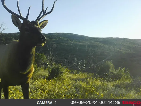 a view of balcony with furniture