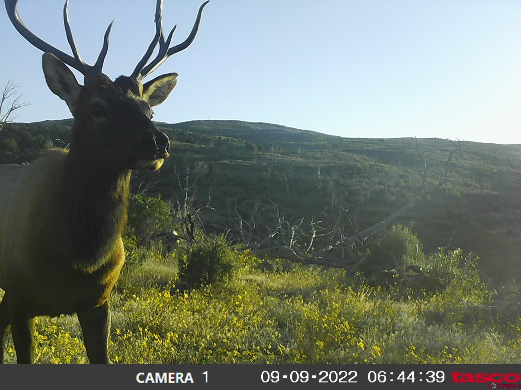 0 Currant Crk Road Cedaredge, CO 81413 - Photo 15 of 35 a view of lake