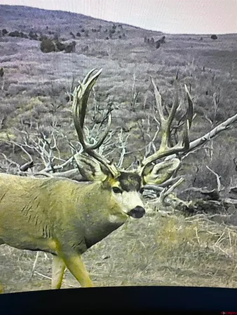a view of city and mountain