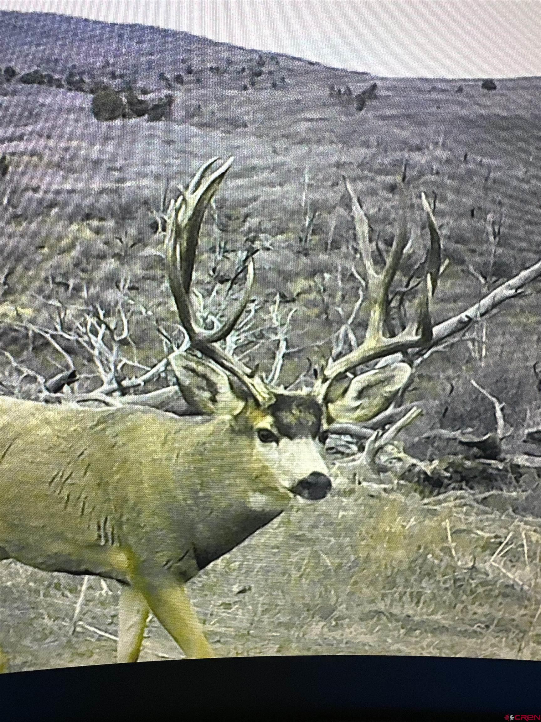 0 Currant Crk Road Cedaredge, CO 81413 - Photo 16 of 35 a view of lake view
