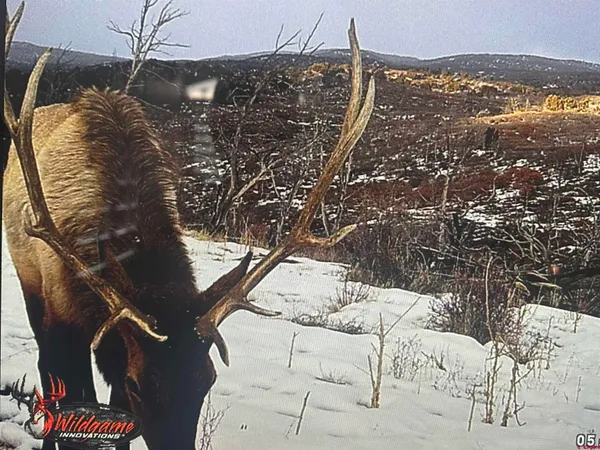 a view of a chairs and table in the patio