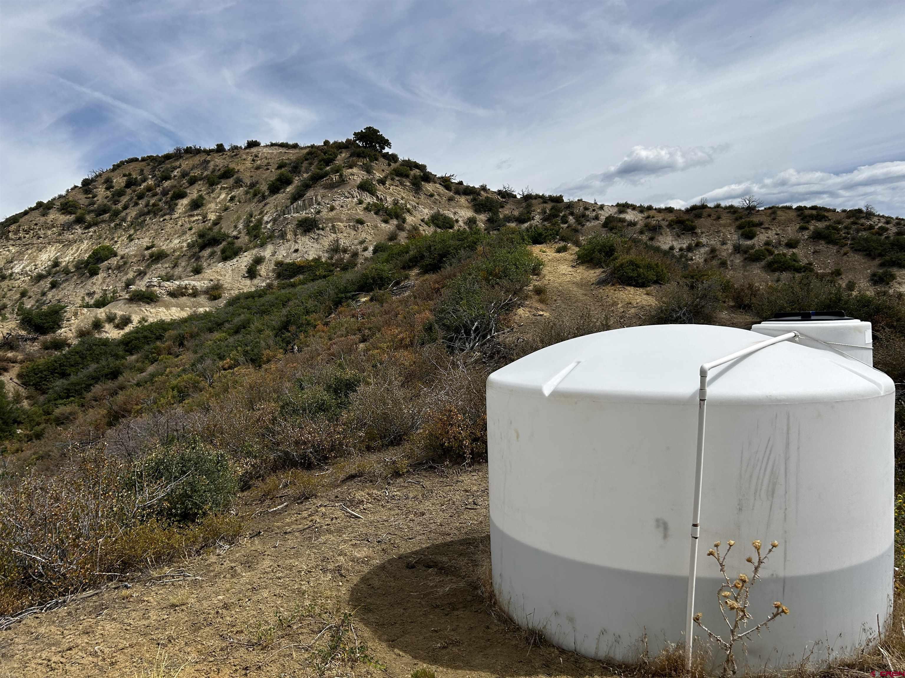 0 Currant Crk Road Cedaredge, CO 81413 - Photo 21 of 35 a view of a yard