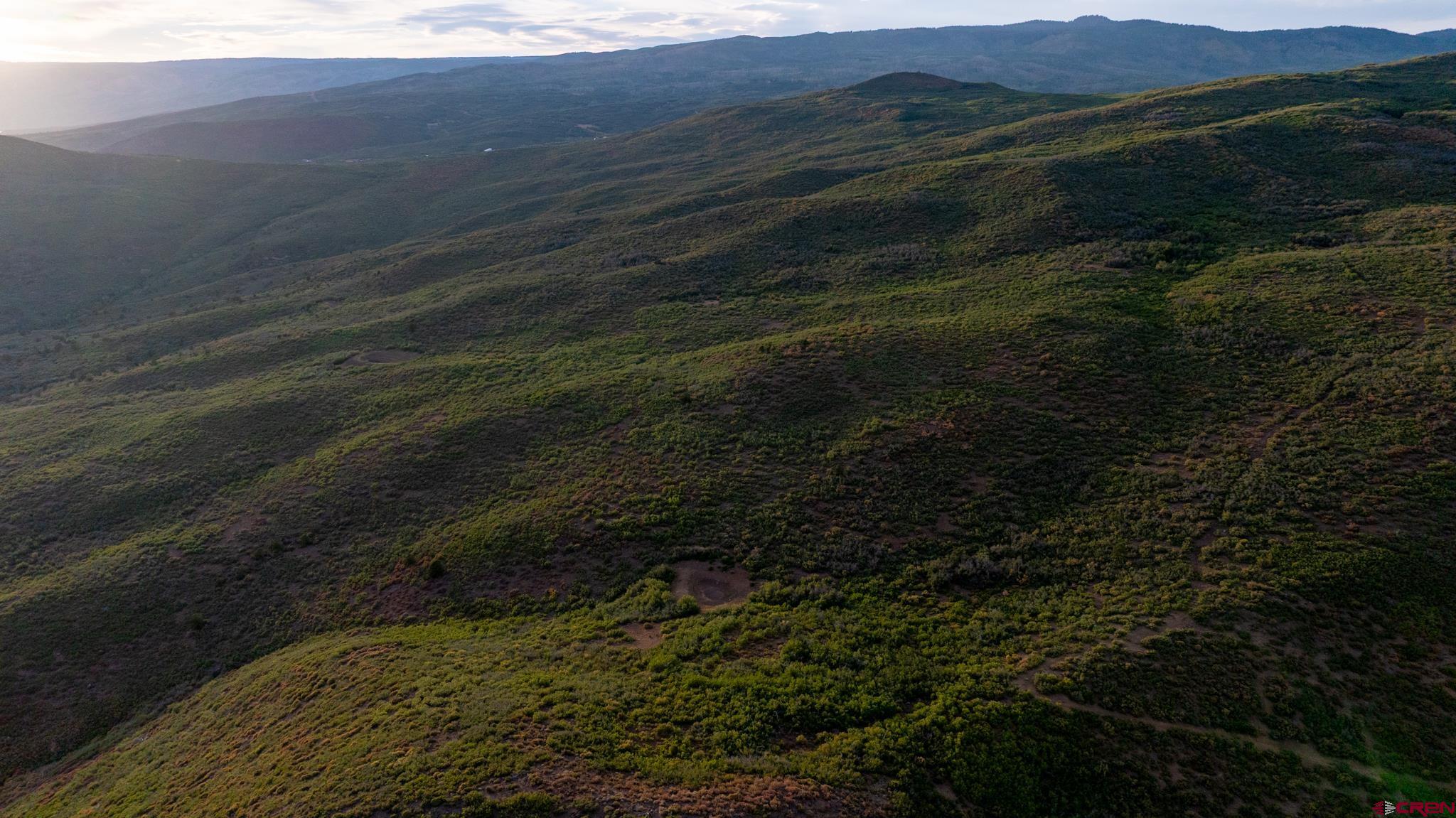0 Currant Crk Road Cedaredge, CO 81413 - Photo 24 of 35 a view of a yard