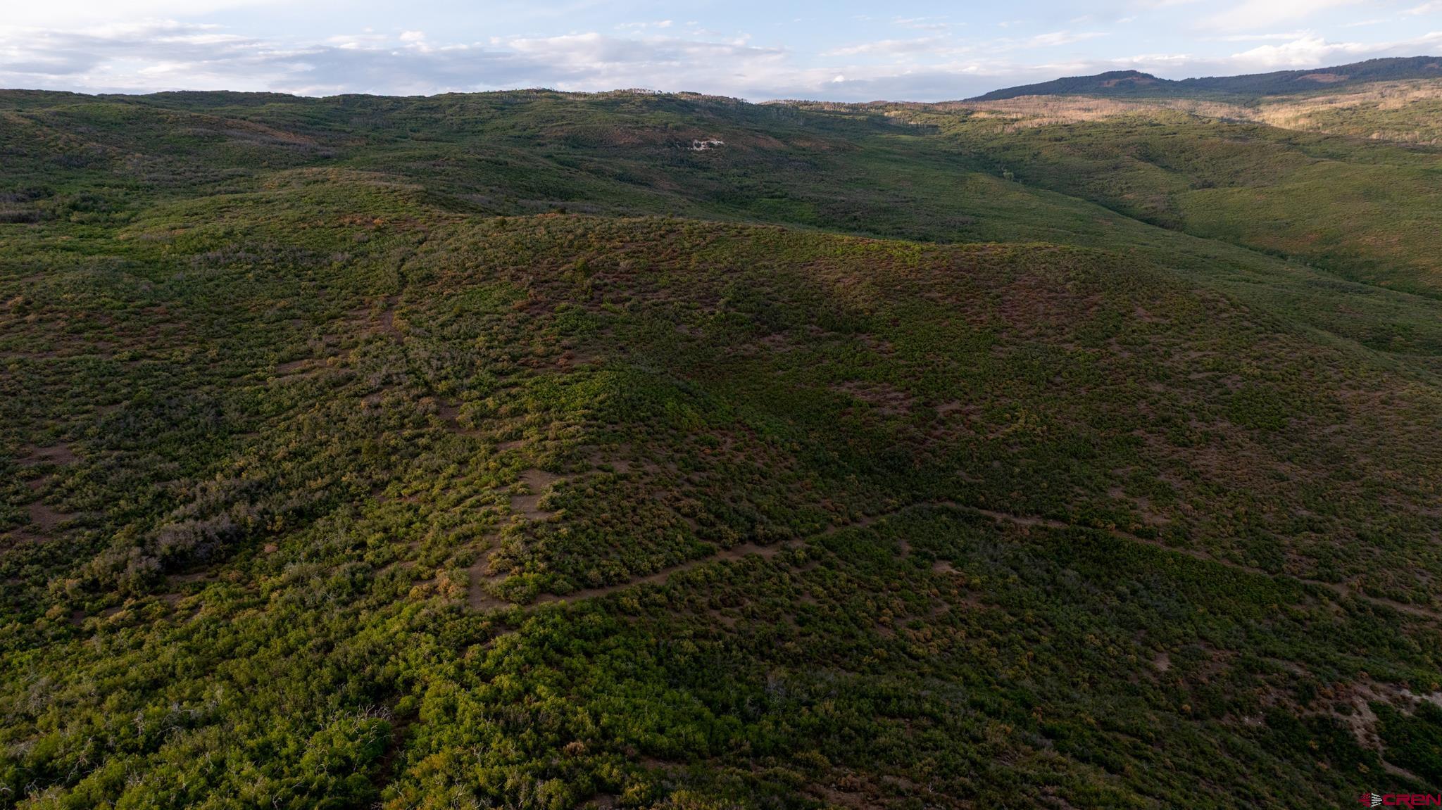 0 Currant Crk Road Cedaredge, CO 81413 - Photo 25 of 35 a view of mountain with lake view