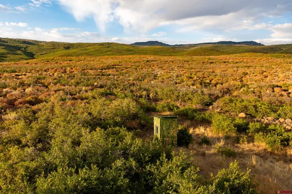 a view of a garden with an outdoor space