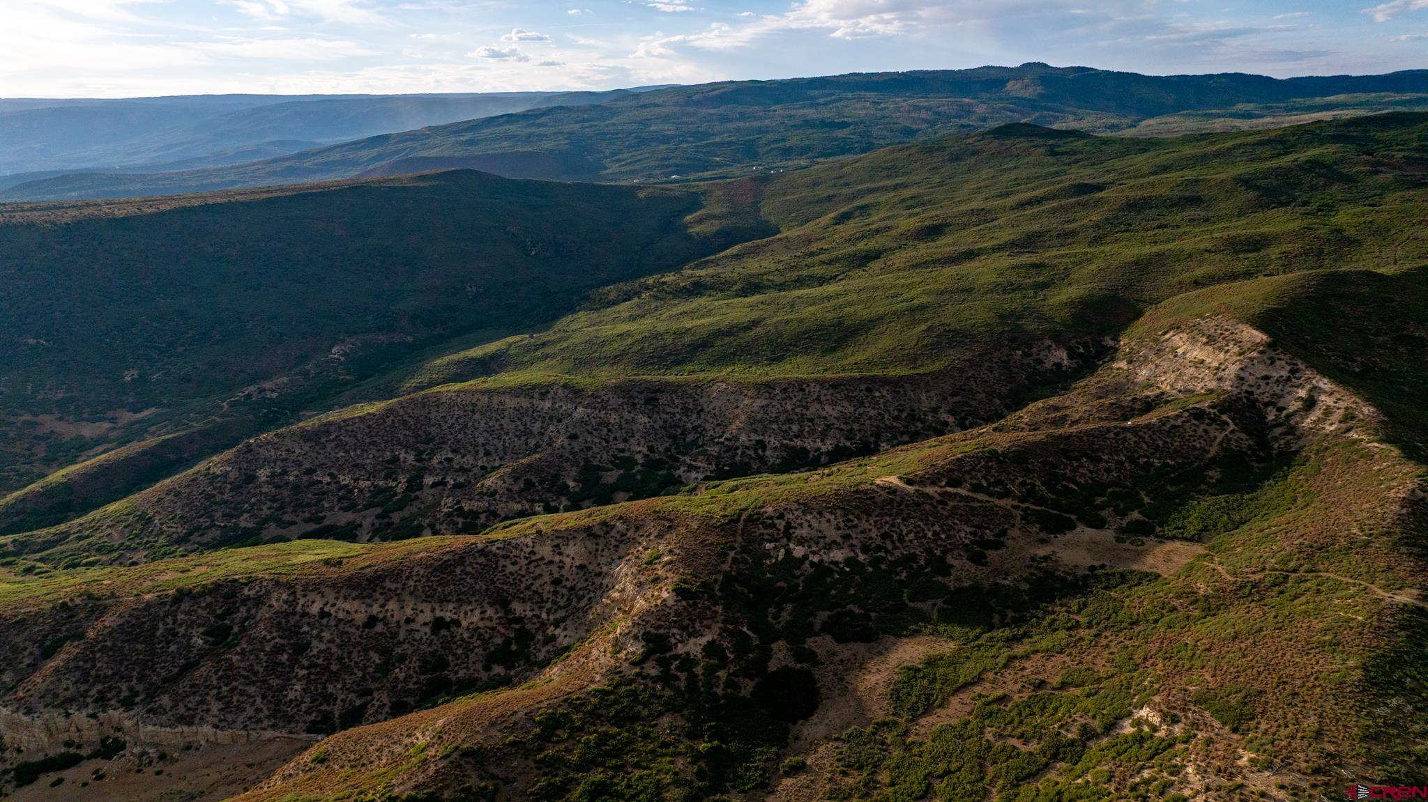 0 Currant Crk Road Cedaredge, CO 81413 - Photo 30 of 35 a view of a garden with an outdoor space