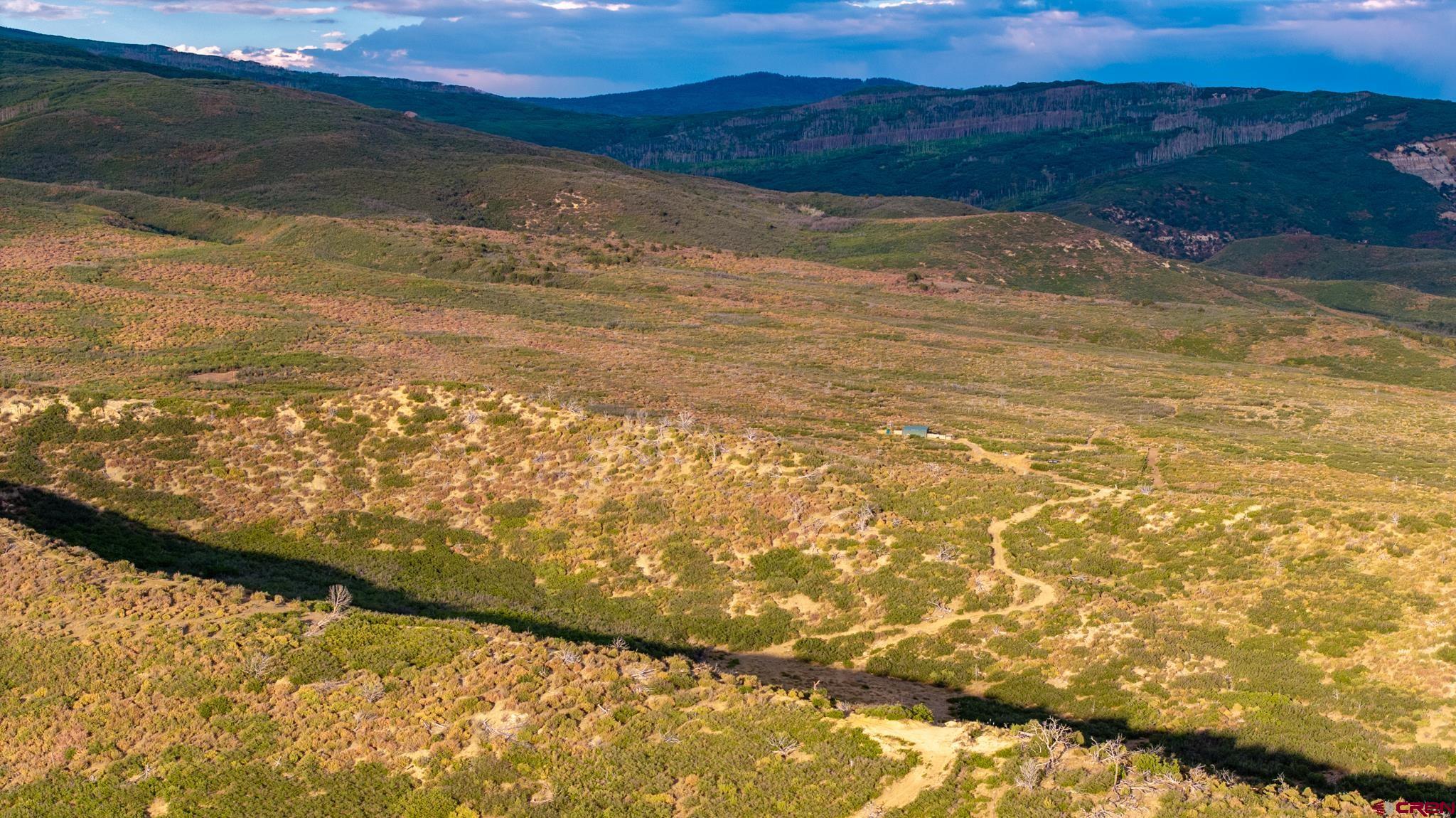 0 Currant Crk Road Cedaredge, CO 81413 - Photo 32 of 35